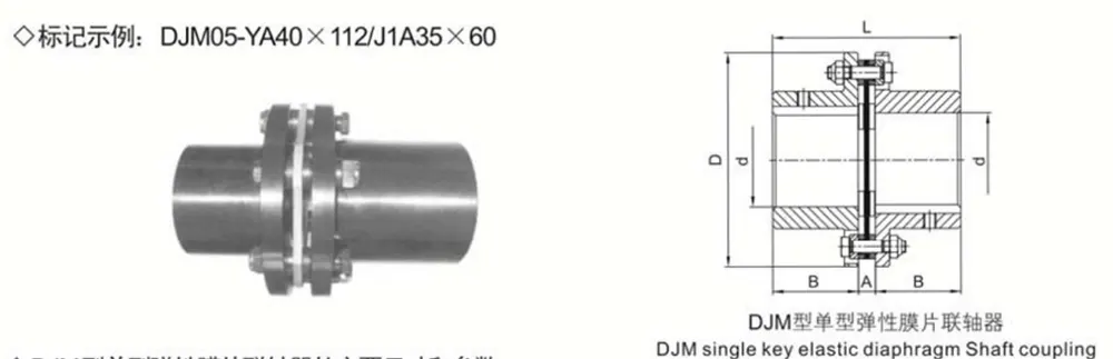 Diaphragm Coupling
